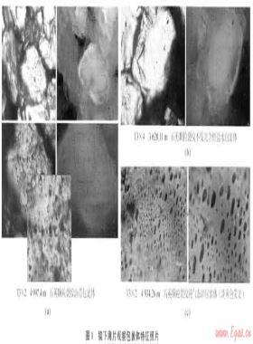 利用流體包裹體確定川西坳陷孝泉-豐谷構造帶須家河組天然氣成藏期
