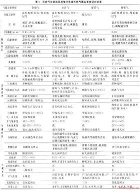 中國(guó)頁(yè)巖氣形成條件及勘探實(shí)踐