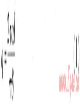 真空管太陽能集熱系統(tǒng)溫度場、速度場模擬