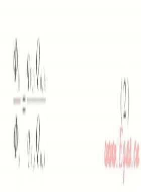 燃?xì)獠膳療崴疇t高原地區(qū)運行性能分析