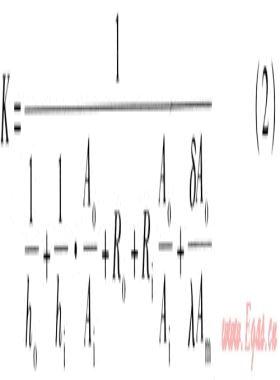 螺旋管傳熱系數(shù)實驗研究和溫度場數(shù)值模擬