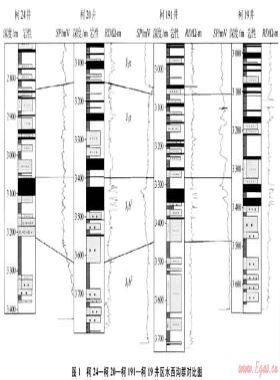 吐哈盆地臺北凹陷水西溝群致密砂巖氣成藏條件