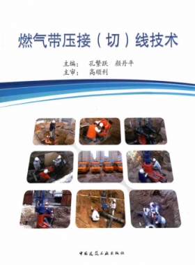 燃?xì)鈳航樱ㄇ校┚€技術(shù)